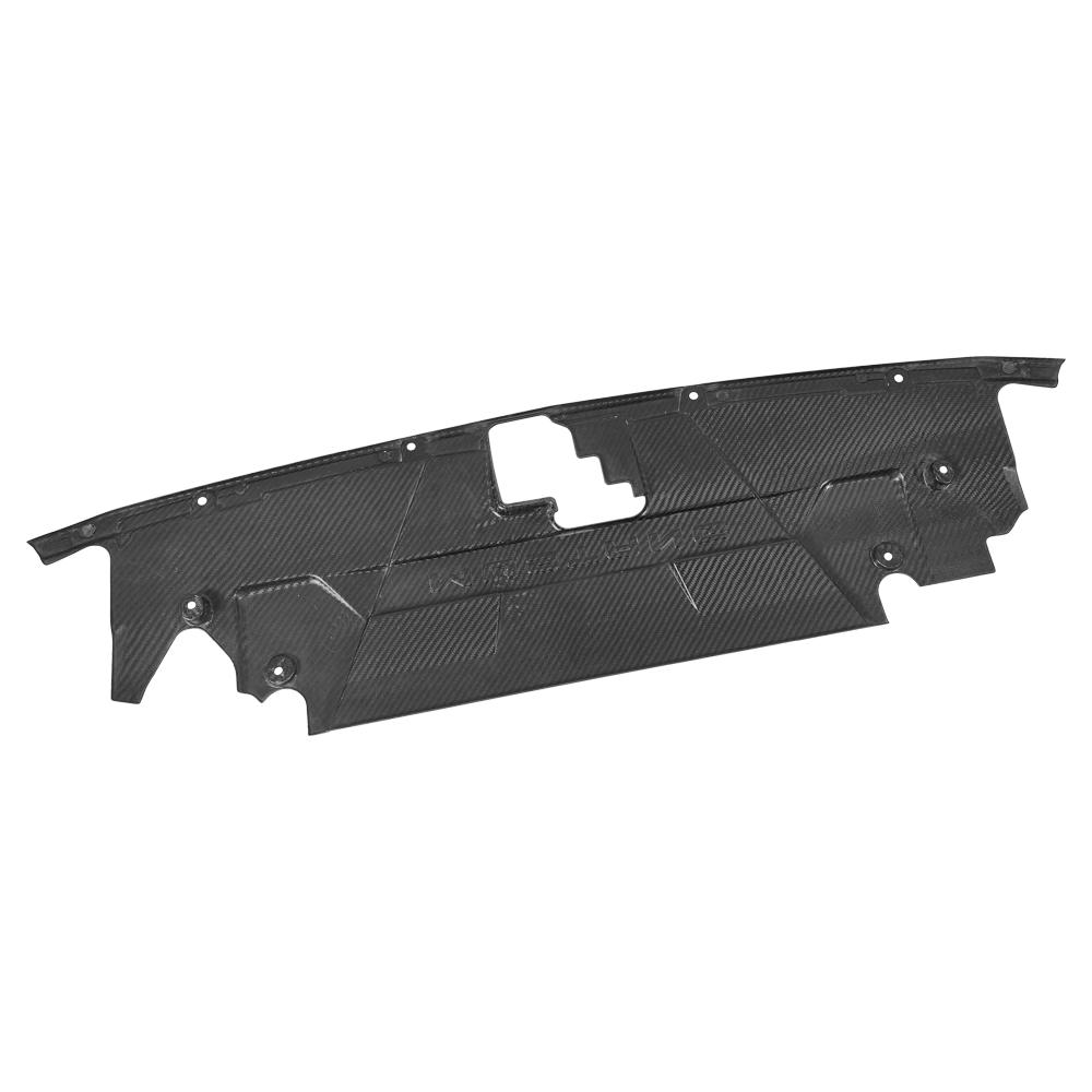 Ford Mustang GT 2024 2025 Water Tank Radiating Plate Cover Dry Carbon Fiber-Ahacarbon