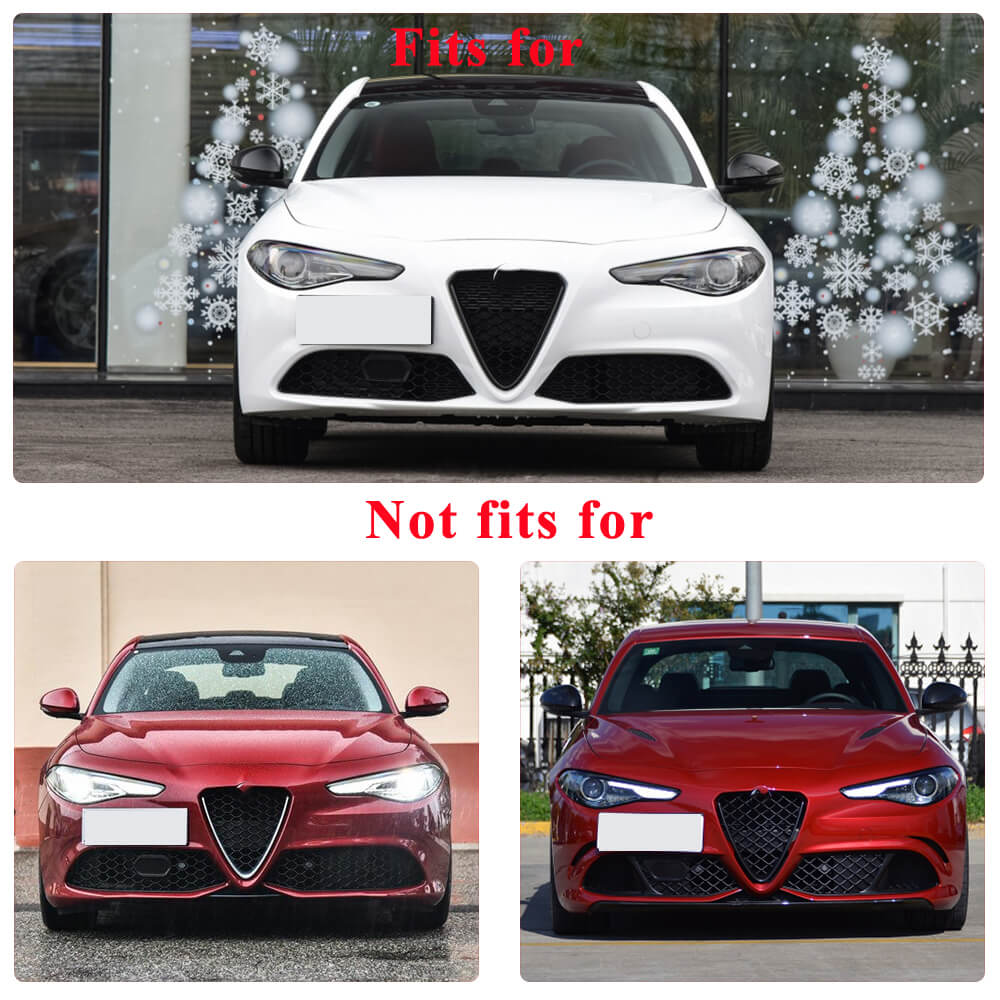 Genuine Alfa Romeo Giulia Dry Carbon Fiber V Shield Front Grille Frame